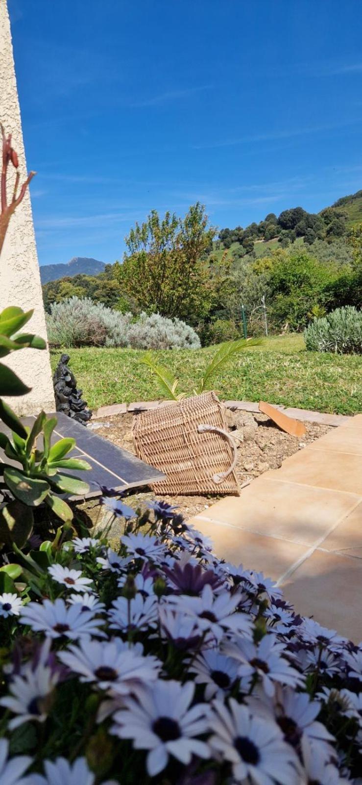Mare E Monti Chez Thomas Et Magali Bed and Breakfast Vico Εξωτερικό φωτογραφία