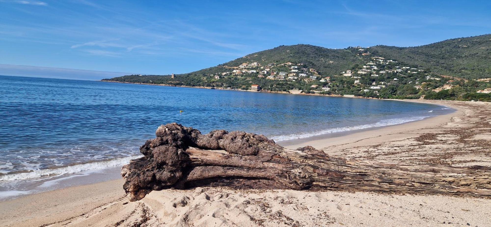 Mare E Monti Chez Thomas Et Magali Bed and Breakfast Vico Εξωτερικό φωτογραφία